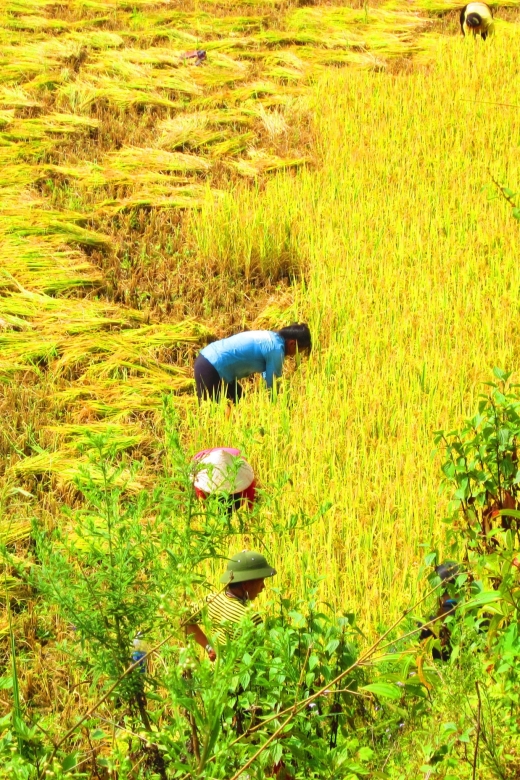 From Sapa: Waterfalls, Trekking and Tribal Villages Tour - Silver Waterfall and Love Waterfall: the real highlight of the first stretch