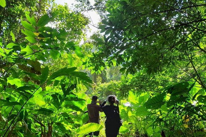 Full-Day Cuc Phuong National Park Hiking Tour - Lunch and snacks: what is included, what you might want to plan for