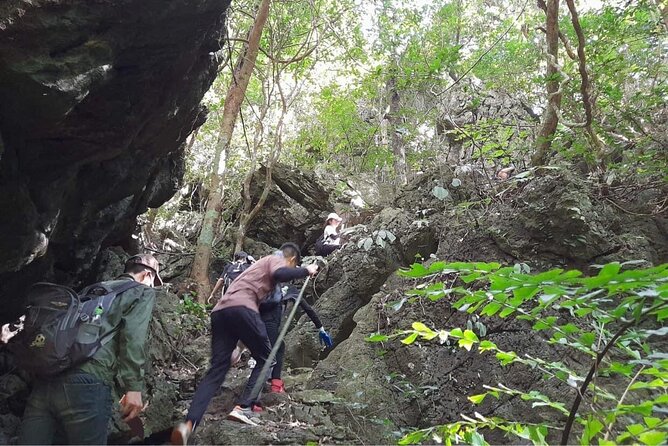 Full-Day Cuc Phuong National Park Hiking Tour - Price and what it really costs on the day