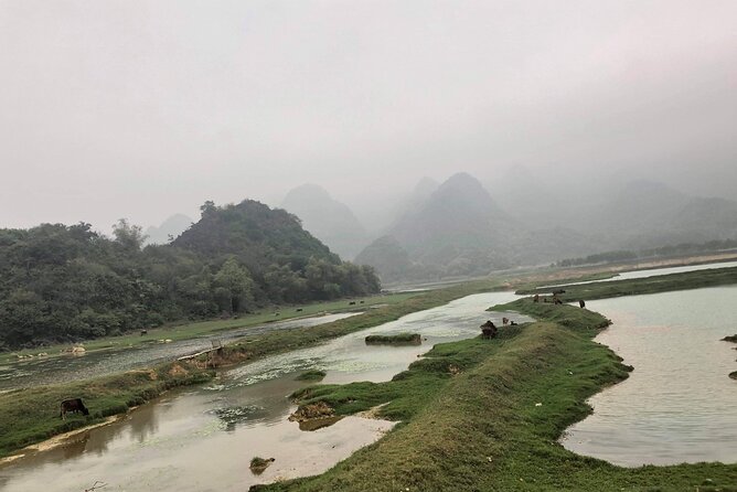 Full-Day Cuc Phuong National Park Hiking Tour - Timing, pacing, and group size: how the day feels in real life