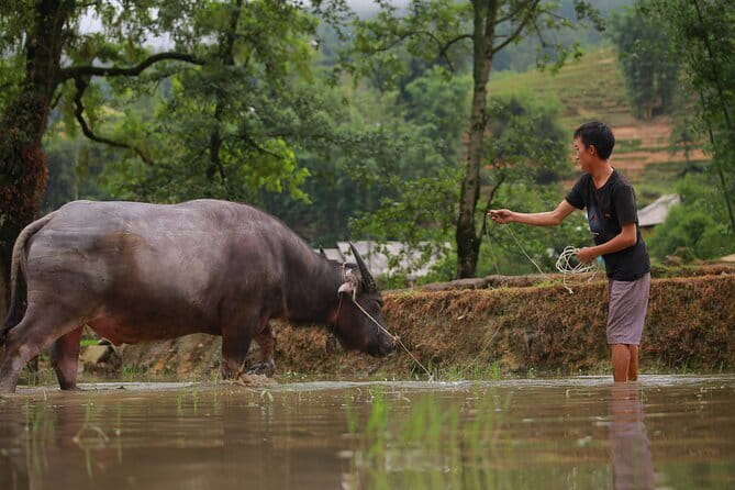 Full Day Cultural Tour in Sapa Terraces - Key Highlights You Will Actually Care About