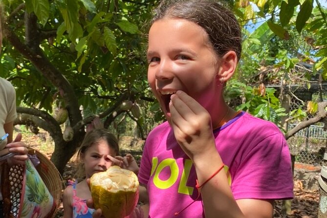 Full Day Experience to Farm and Chocolate - Key highlights worth planning for