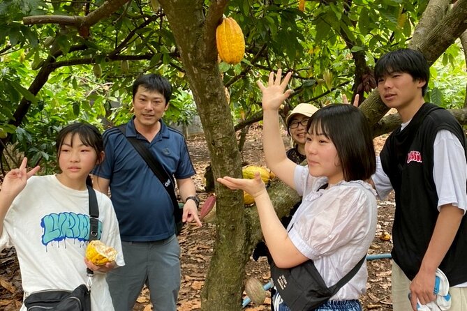 Full Day Experience to Farm and Chocolate - Entering the cacao world: guided farm time and cacao fruit tastings