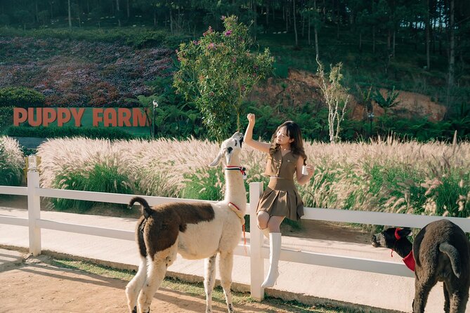 Full-Day Highlight of Da Lat –The famous tourist attractions 2025 - Key things I’d watch for on this Da Lat highlights day