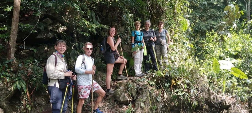 Full day hike - climbing in Jungle of Cat Ba National park - Key highlights that make this hike worth the day