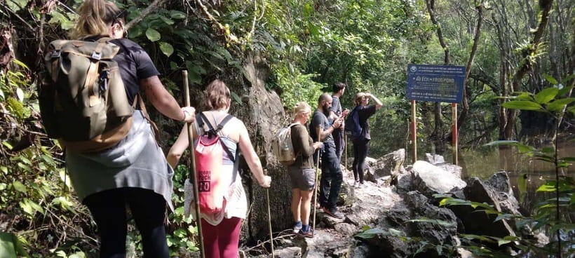 Full day hike - climbing in Jungle of Cat Ba National park - Frog pond at the Va Nuoc trees, plus a real ecosystem break