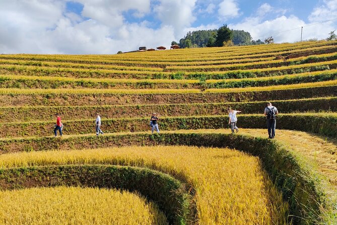 Full day motorbike Mu Cang Chai - Why Mu Cang Chai is made for a full-day motorbike loop