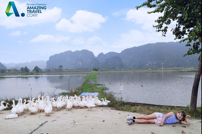 Full Day Private Tour in Ninh Binh(Trang An-Bich Dong-Mua Cave) - Mua Cave and Ngoa Long Peak: the hike for panoramic Tam Coc views