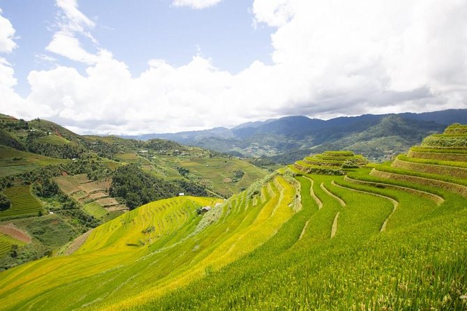 Full Day Private Trekking Mu Cang Chai - Đồi Mâm Xôi (Raspberry Hill) and the viewpoints that earn their stops