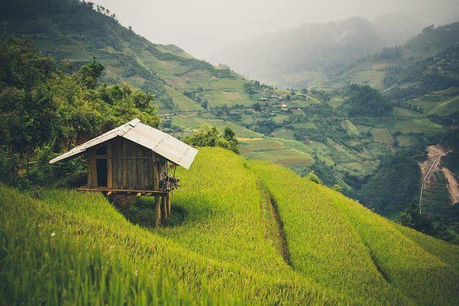Full Day Private Trekking Mu Cang Chai - Lunch, bottled water, and how to pace the day