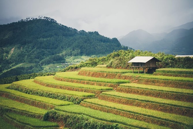 Full Day Private Trekking Mu Cang Chai - How fit do you need to be for 7 to 8 hours?