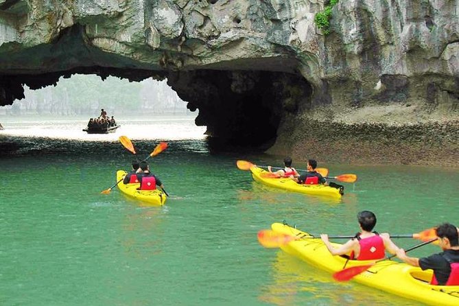 Full Day Tour Halong Bay on Premium Cruise Starting from Hanoi - Hang Luon Cave and the Kayak or Bamboo Boat Ride