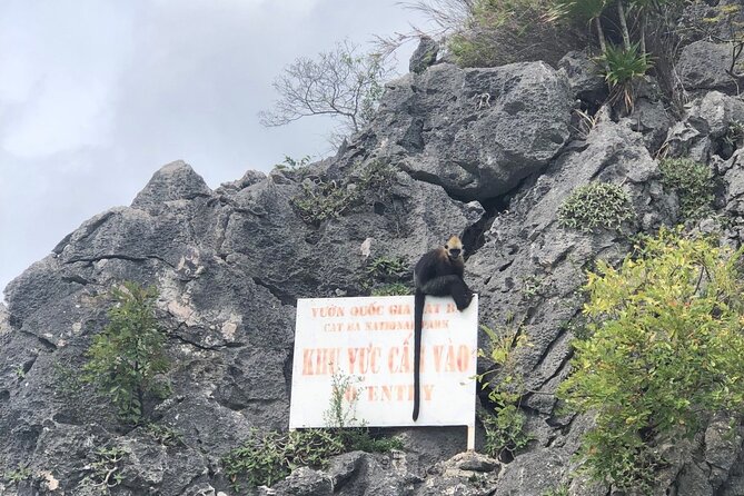 Full day trip to Lan Ha-Ha Long Bay from Cat Ba, avoid the crowds - Why this Lan Ha and Halong cruise stays calmer from Cat Ba