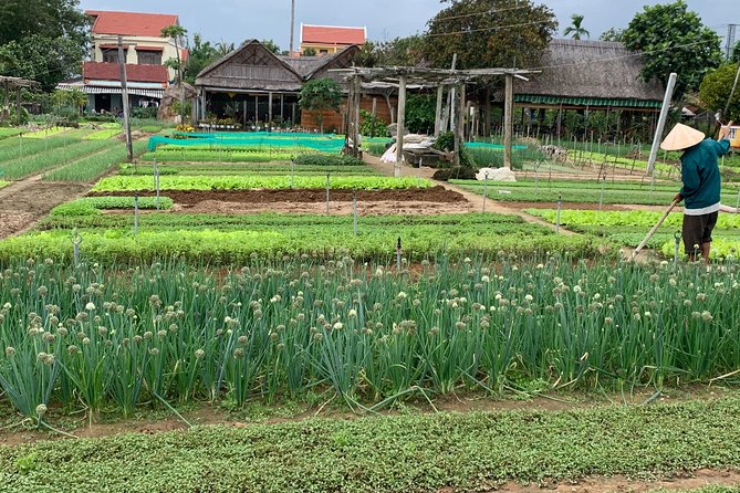 Full Experience Tour: Cooking Class & Basket Boat at Eco-Village - Basket Boat Rowing and the Buffalo Ride: Active, Funny, and Short