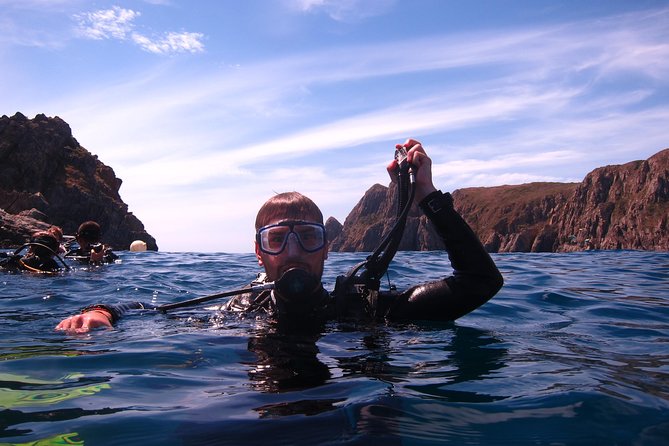 Fun Dives - Guided Dives for Certified Divers - Included scuba gear, meals, and the real value of $87