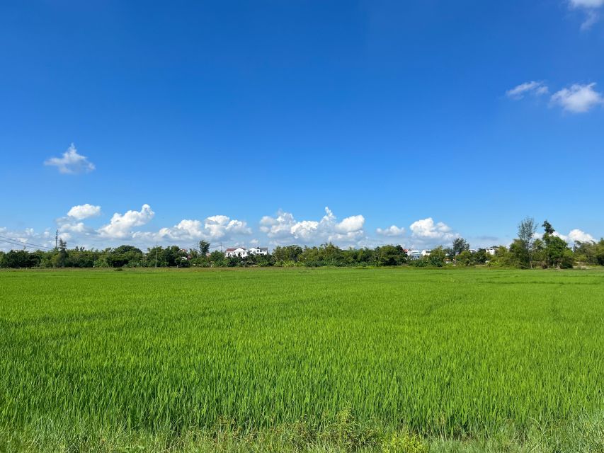 Funny day cycling, Buffalo riding and Basket boat - How the 3.5 hour countryside loop actually feels