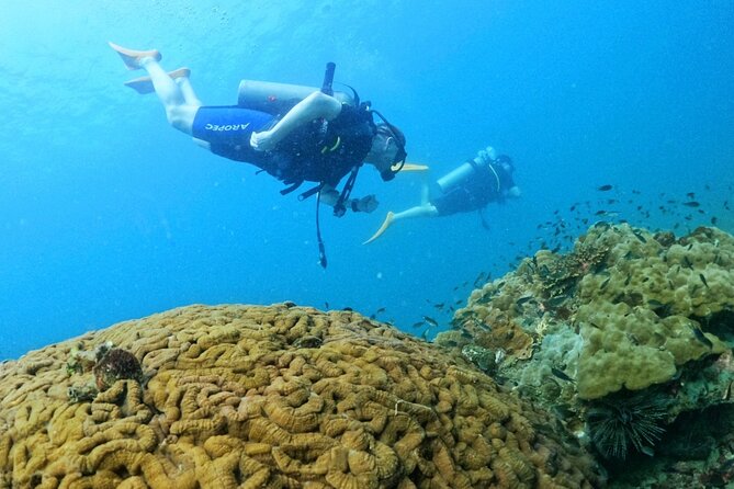 [GROUP] SCUBA DIVING for Certified Divers in Phu Quoc Island - Key Points to Know Before You Go