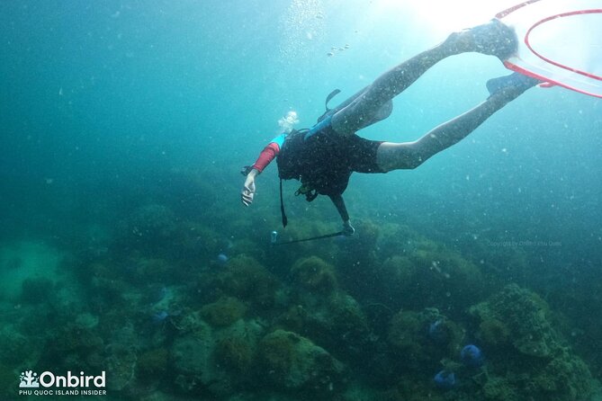 [GROUP] SCUBA DIVING for Certified Divers in Phu Quoc Island - Pickup And Pier Timing: Getting On The Boat Without Drama
