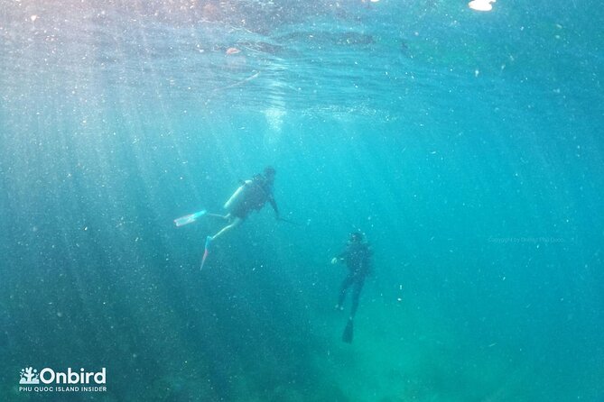 [GROUP] SCUBA DIVING for Certified Divers in Phu Quoc Island - Underwater Session 1: Briefing, Gear-Up, And Max 18 Meters