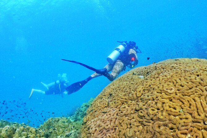 [GROUP] SCUBA DIVING for Certified Divers in Phu Quoc Island - Underwater Session 2 After Lunch: Another Site, Another Chance