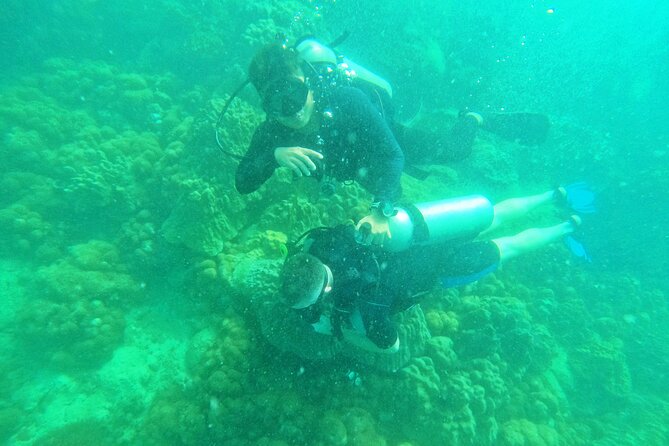 [GROUP] SCUBA DIVING for Certified Divers in Phu Quoc Island - Instructor In The Water: What It Means For Your Safety And Comfort