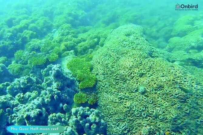 [GROUP] SCUBA DIVING for Certified Divers in Phu Quoc Island - Equipment Included: Saving Money, Time, And Hassle