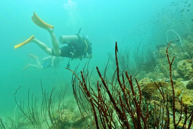 [GROUP] SCUBA DIVING for Certified Divers in Phu Quoc Island - The Boat Ride: Shared Wooden Boat, Cold Water, Real Food