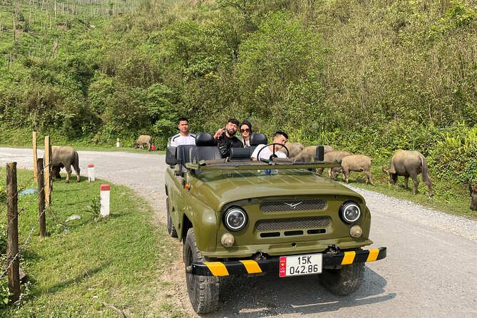 Ha Giang Army Open Air Jeep 2 Days 1 Night - Open-Air Army Jeep: The Ha Giang Feel You Can Actually Access
