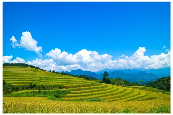 Ha Giang Loop 2D/1N Private Room + Free Dorm Hotel 1N before tour - Private Room, Dorm Night, and How the Ride Feels