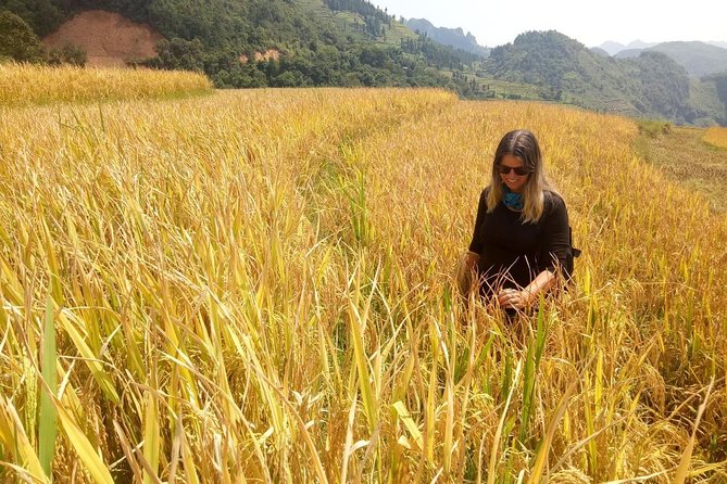 Ha Giang loop 3 or 4 Days, Small Group Tour (within easy riders) - Why this Ha Giang loop feels more personal than the big tours