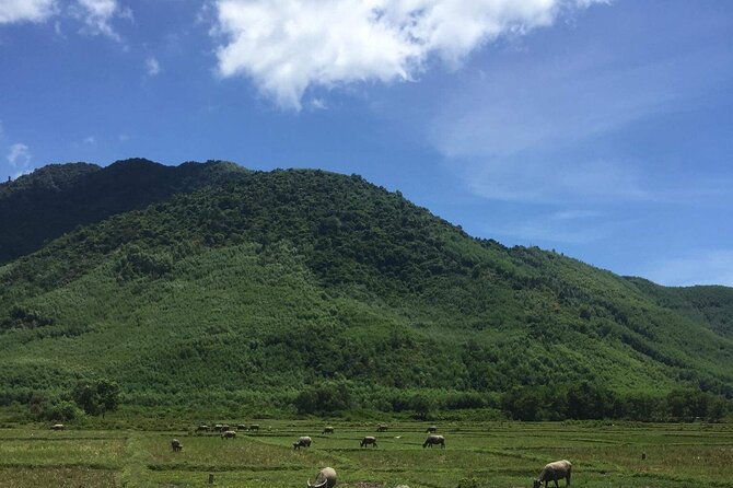 HAI VAN PASS MOTORBIKE TOUR - Top Gear Experience - Price and value: what $65 buys for a Hue to Hoi An day