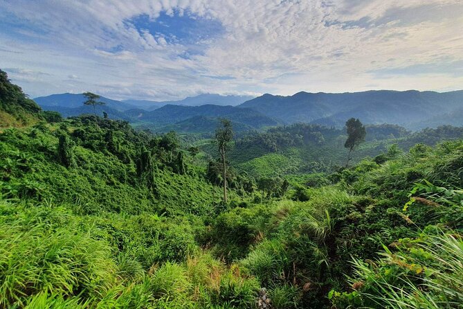 Hai Van pass private car tour from Hue-Da Nang-Hoi An (1Way|Loop) - Who should book this Hue to Hoi An Hai Van Pass car tour
