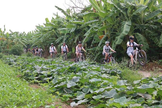 Half-Day Bicycle Tour Combine City & Countryside + Train Street - Long Bien Bridge: Cycling a 1902 Symbol of Tenacity