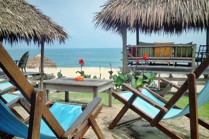 Half-day Electric Scooter Countryside Adventure In Hoi An - Self-Drive vs Chauffeur: Picking the Right Comfort Level