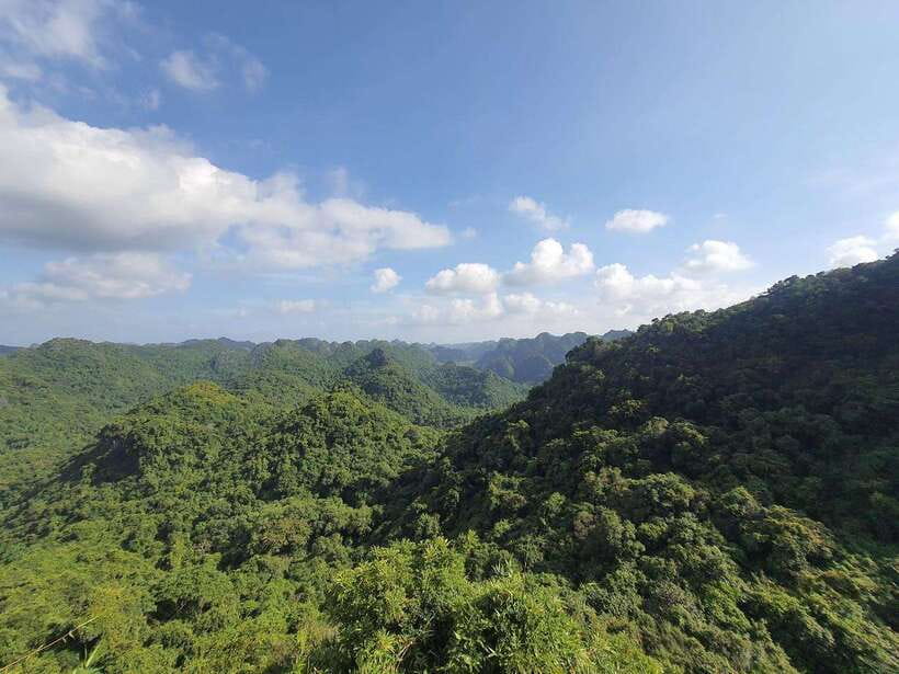 Half Day Hiking to Cat Ba National Park with a Guide - Key highlights you’ll feel fast