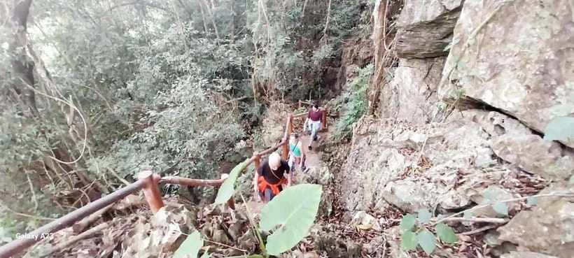 Half Day Hiking to Cat Ba National Park with a Guide - Price and value: why $22 can work for a lot of ground