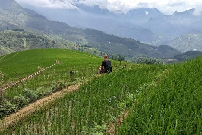 Half-Day Hometrek from Sapa with Hmong Sister House - Stop 2: Y Linh Ho, the market-path segment you will actually feel