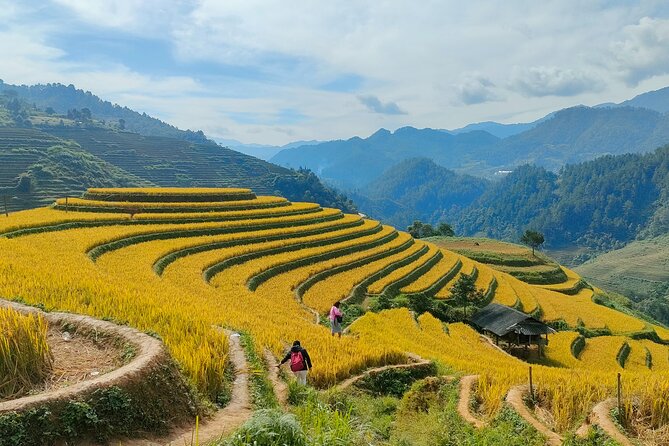 Half Day Private Trekking Mu Cang Chai_Morning or Afternoon - Half-Day Private Trekking in Mu Cang Chai: why this format works