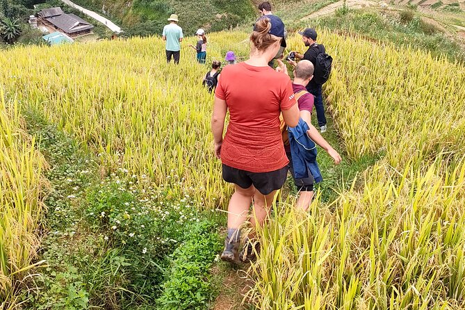 Half Day Private Trekking Mu Cang Chai_Morning or Afternoon - Homestay lunch: the included meal you’ll actually remember