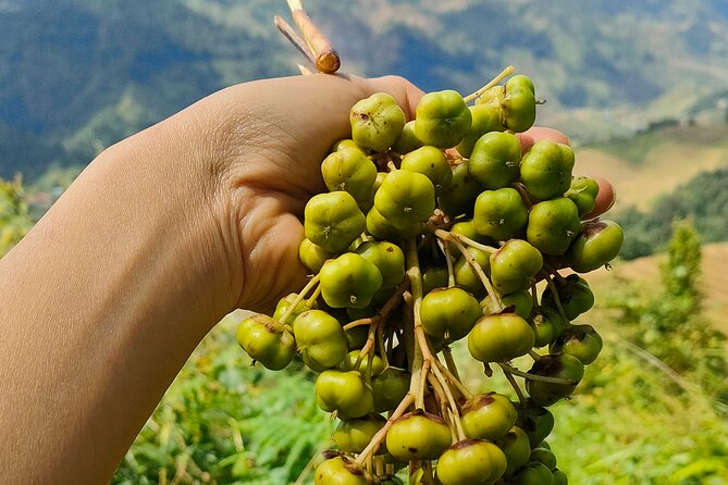 Half Day Private Trekking Mu Cang Chai_Morning or Afternoon - How hard is it, and what to wear when the hills get wet?