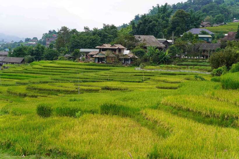 Half Day Sapa Trekking to Visit Lao Chai - Ta Van - Ta Van: Dzay village break, culture through daily routines