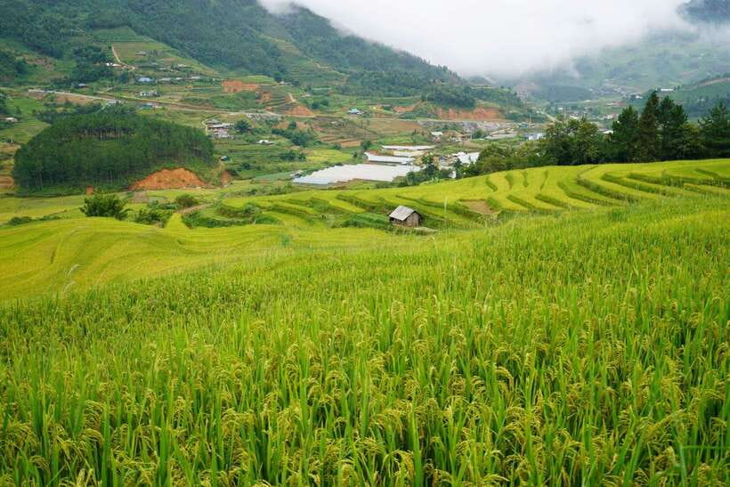 Half Day Sapa Trekking to Visit Lao Chai - Ta Van - 11:30 bus return to Sapa, why it makes a difference