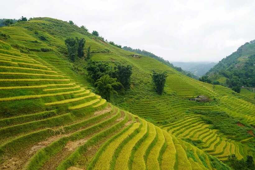 Half Day Sapa Trekking to Visit Lao Chai - Ta Van - English and Vietnamese guiding, and why guide names keep coming up