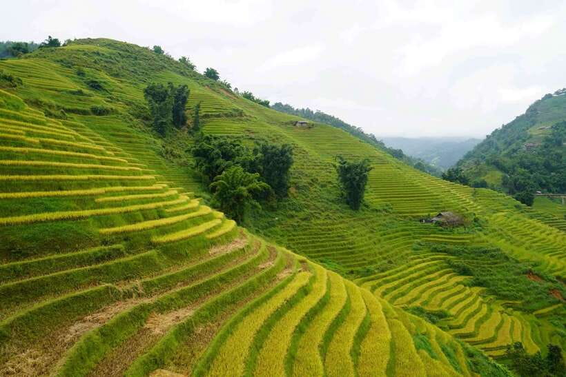Half Day Sapa Trekking to Visit Lao Chai - Ta Van - 8:10 pickup and the walk into Y Linh Ho’s valley views
