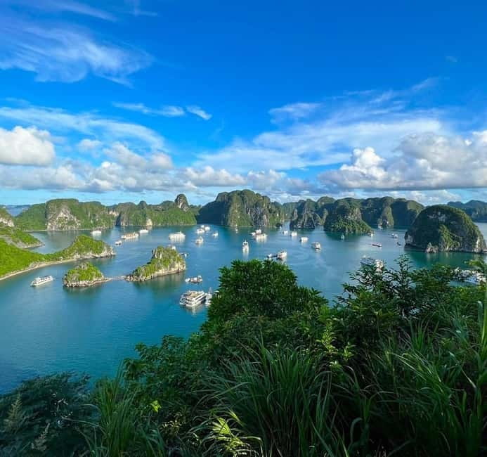 Halong 6 Hours Cruise: Kayak, Cave, Lunch, Beach & Island - Price and Value at About $48 Per Person