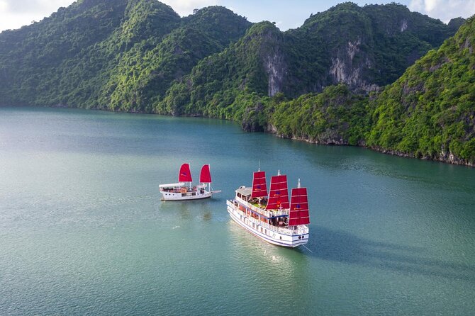 Halong Amazing Sail Luxury 1 Day Small Group Tour 7-Hour Cruising - Lunch on the water, while limestone scenery rolls by
