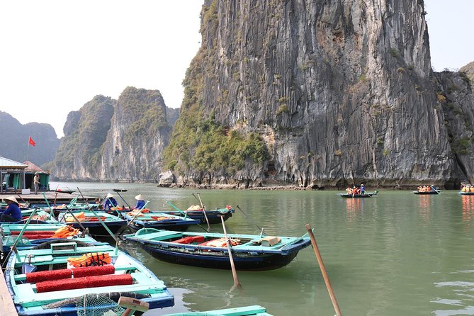 Halong Bay Day Tour Islands, Cave, Kayak. Lunch. All inclusive - Lunch on board: seafood, shared tables, and dietary notes