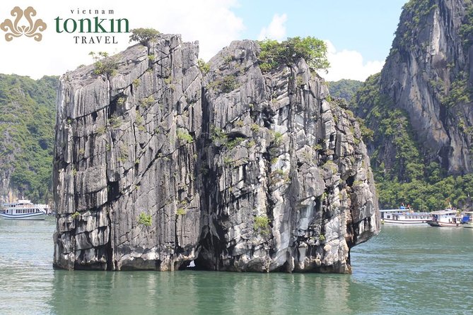 Halong bay deluxe cruise 2 days/ 1 night: kayaking, titop island, surprise cave - Spring Roll Cooking Class and the Onboard Style