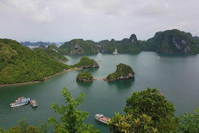 Halong Bay Shore Excursion: Full Day Cruise Tour from Cruise Port - Quick Highlights Before You Go