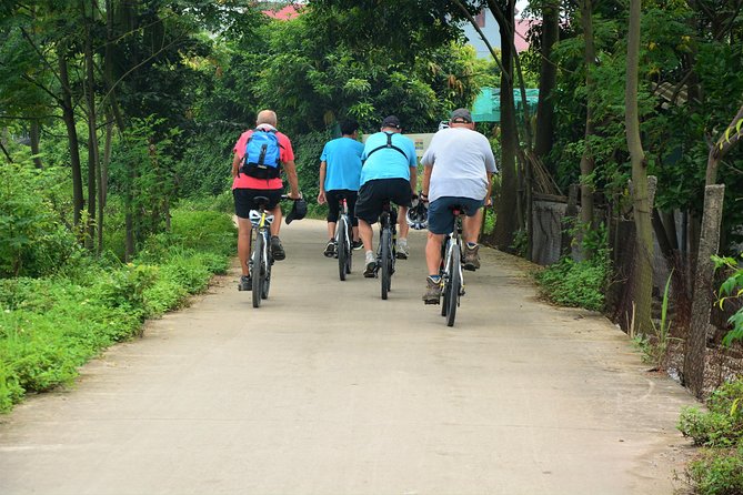 Hanoi Bicycle Tours: Half Day Bicycle Tours Hanoi Countryside - Bonsai, Broom-Making, and the Human Scale of the Villages